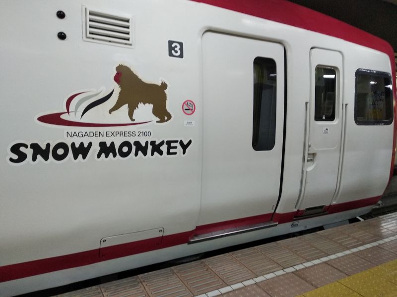 רכבת לפארק הקופים
